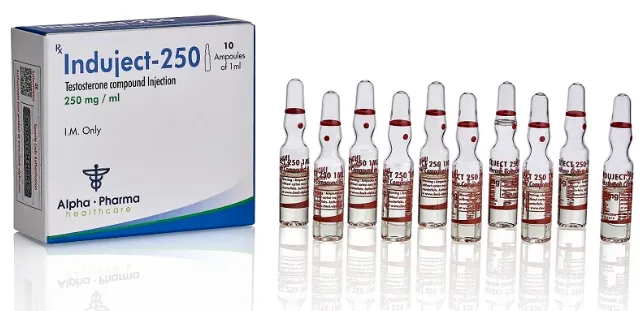 Durateston Induject 10 Ampolas 250mg/ml - Alpha Pharma: Guia Completo